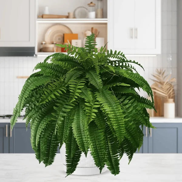 💥This Week's Special Price $19.99🌱UV Resistant Lifelike Artificial Boston Fern