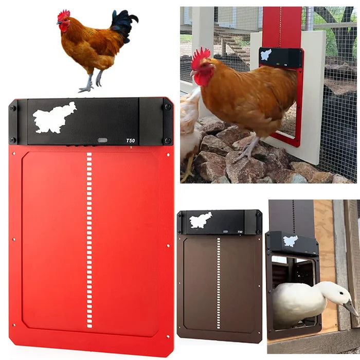 🎉LAST DAY 49% OFF🎉 --Automatic Chicken Coop Door