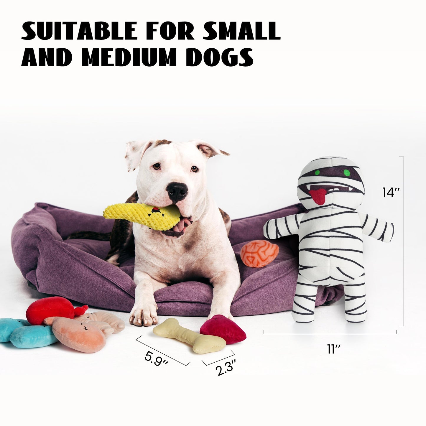 9-in-1 Stuffed Plush Squeaky Dog Toys, Mummy Body