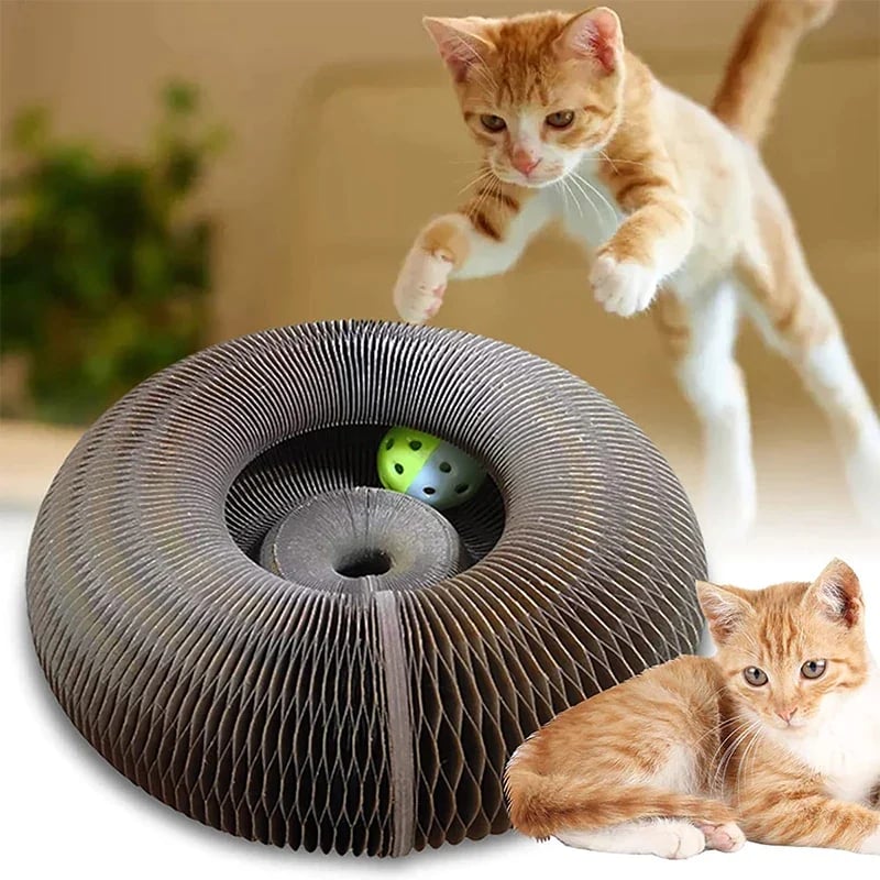 ⚡Cat Scratcher