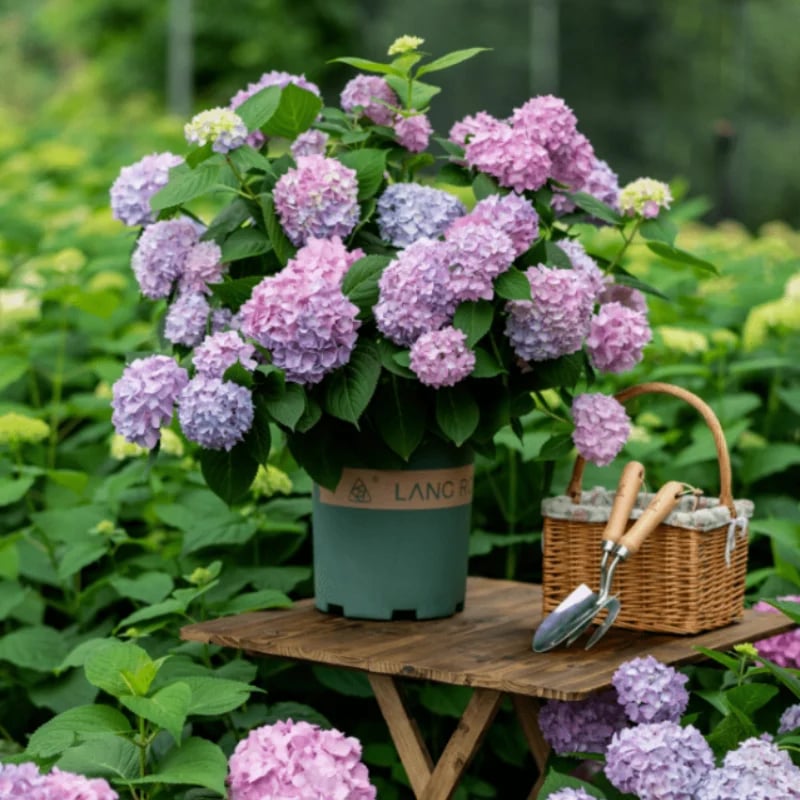 Last Day 70% OFF-Outdoor Artificial Hydrangea Flowers💐